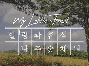 2023 숲체험프로그램