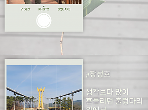 2025 숲체험 프로그램