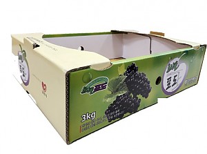 춘향골포도박스