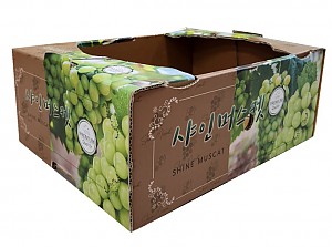 샤인머스켓박스